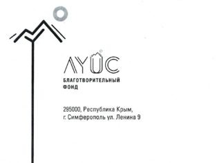 Отчет БФ «ЛУЙС»