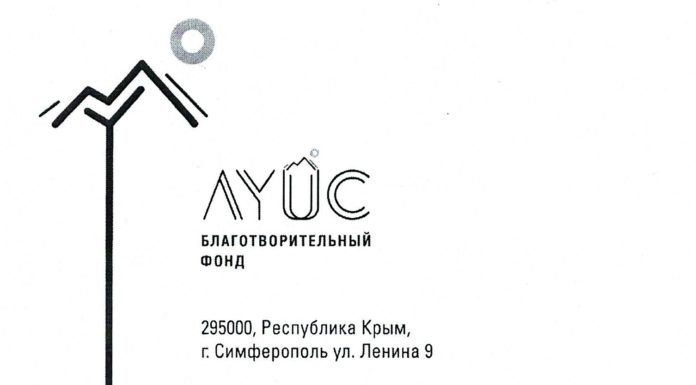 Отчет БФ «ЛУЙС»