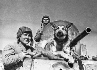 Что нам рассказывают фотографии военного периода?