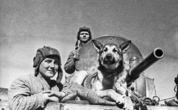 Что нам рассказывают фотографии военного периода?